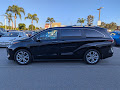 2024 Toyota Sienna Platinum