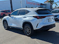 2024 Lexus NX 250 Base