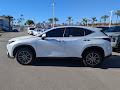 2024 Lexus NX 250 Base