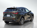2023 Lexus NX 350 Base