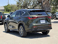2023 Lexus NX 350 Base