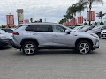 2024 Toyota RAV4 Prime SE