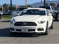2015 Ford Mustang GT 50 Years Limited Edition