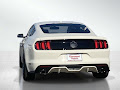 2015 Ford Mustang GT 50 Years Limited Edition