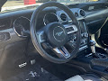 2015 Ford Mustang GT 50 Years Limited Edition