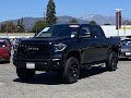 2020 Toyota Tundra TRD Pro